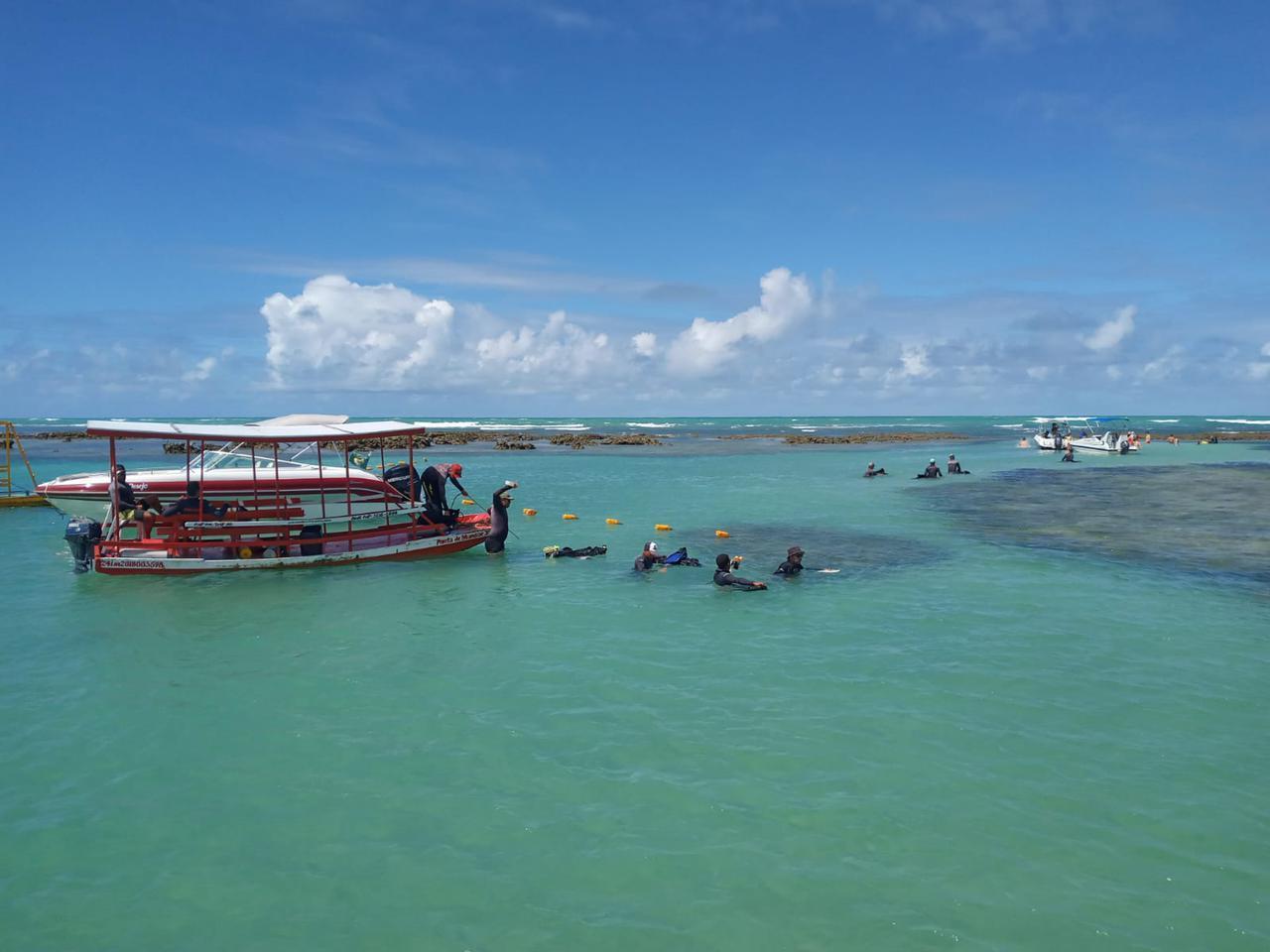 Pousada Ponta De Mangue Maragogi Eksteriør bilde